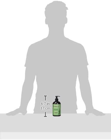 Mielle Organics Rosemary Mint Strengthening Shampoo Infused with Biotin, Cleanses and Helps Strengthen Weak and Brittle Hair, 12 Ounces