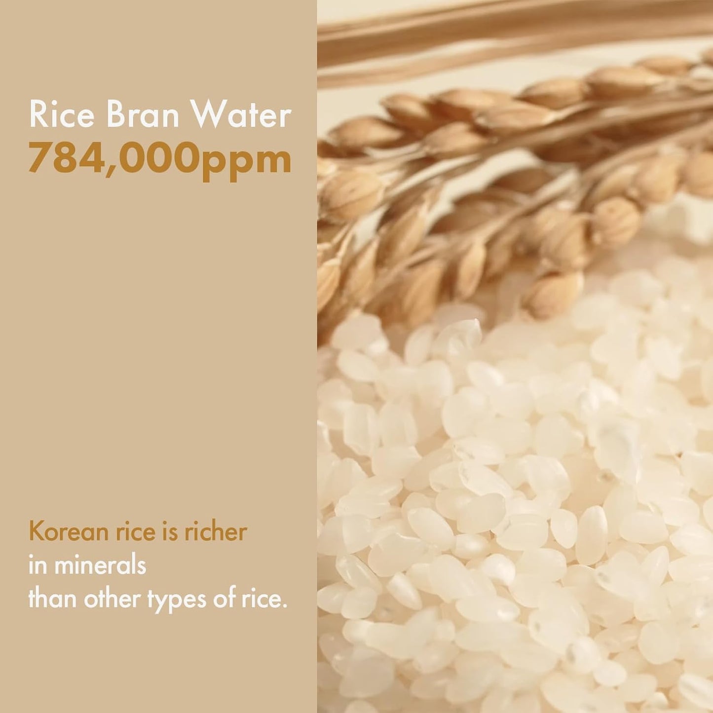 TOSOWOONG Rice Glow Milky Toner With 784,000ppm Korean Rice Water, Niacinamide, Ceramides, Panthenol, Glow, Glass Skin, Hydrating, Refreshing, Fragrance-Free, Korean Skin Care, 250ml, 8.45 fl.oz