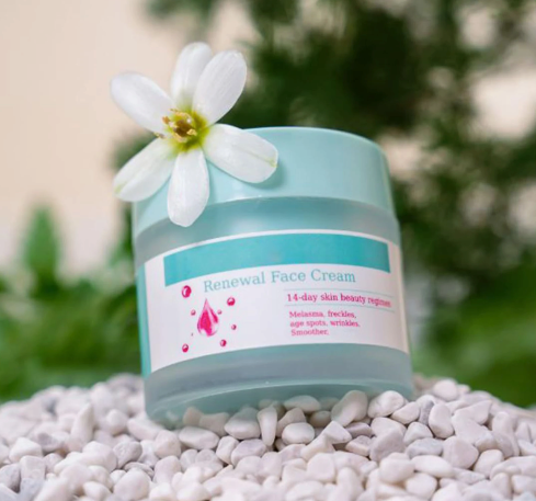 1pcRenewal FaceCream For Melasma And Freckles Cosmetics Frost Dark Wrinkle Face 1pc 1, 50g