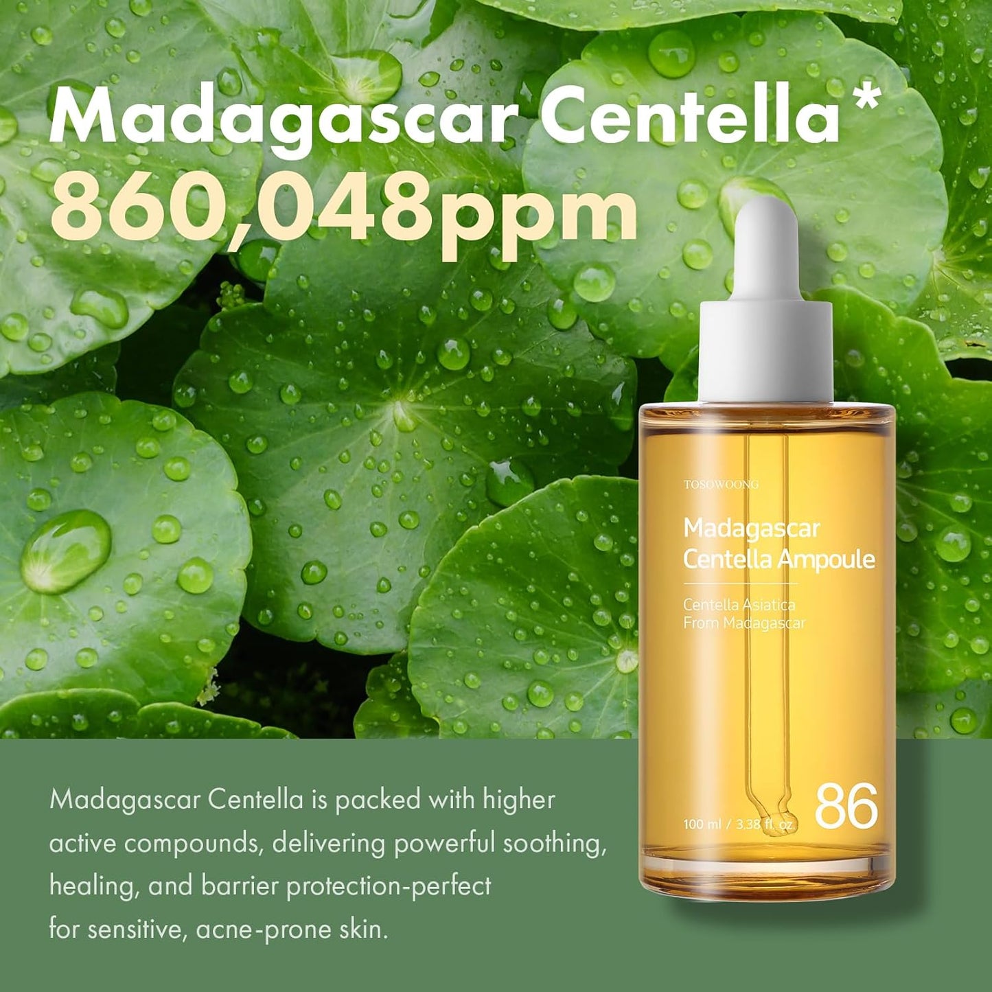 TOSOWOONG Madagascar Centella 86% Ampoule with 860,048ppm Centella Asiatica – Lightweight Face Serum, Gentle on Skin, For All Skin Types, Korean Skincare, 100ml, 3.38 fl.oz