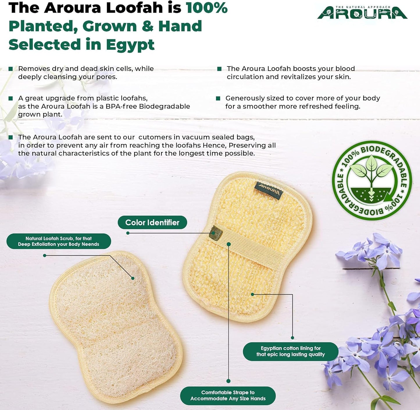 Aroura Natural Egyptian Loofah - Palm size Oval, Each Loofa is Planted, Grown & Hand Selected from Egypt. A Luffa For Your Entire Body, 4"X6 (Oval, 1 piece)